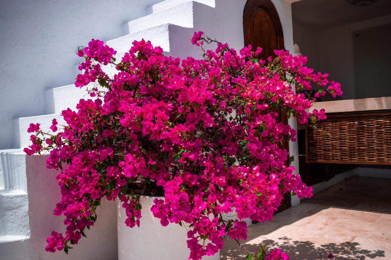 Hotel Aguamarina Boutique (Adults Only) Cartagena Exteriér fotografie
